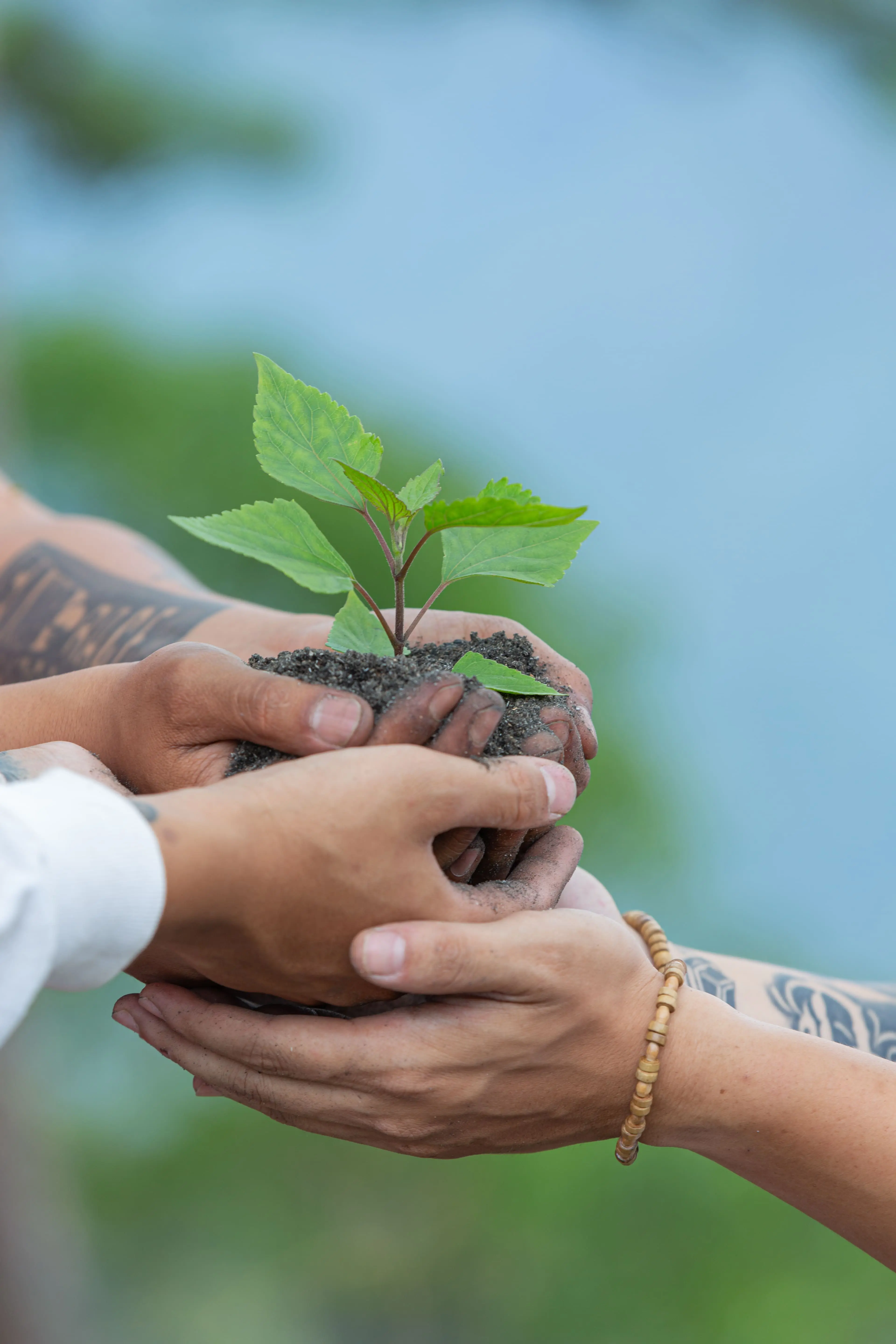 Environment Welfare